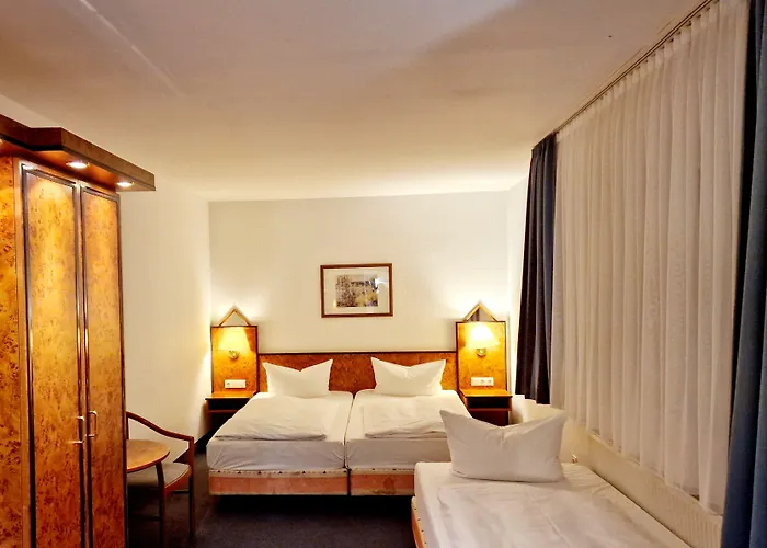 ホテル Trip Minerva Frankfurt 3*